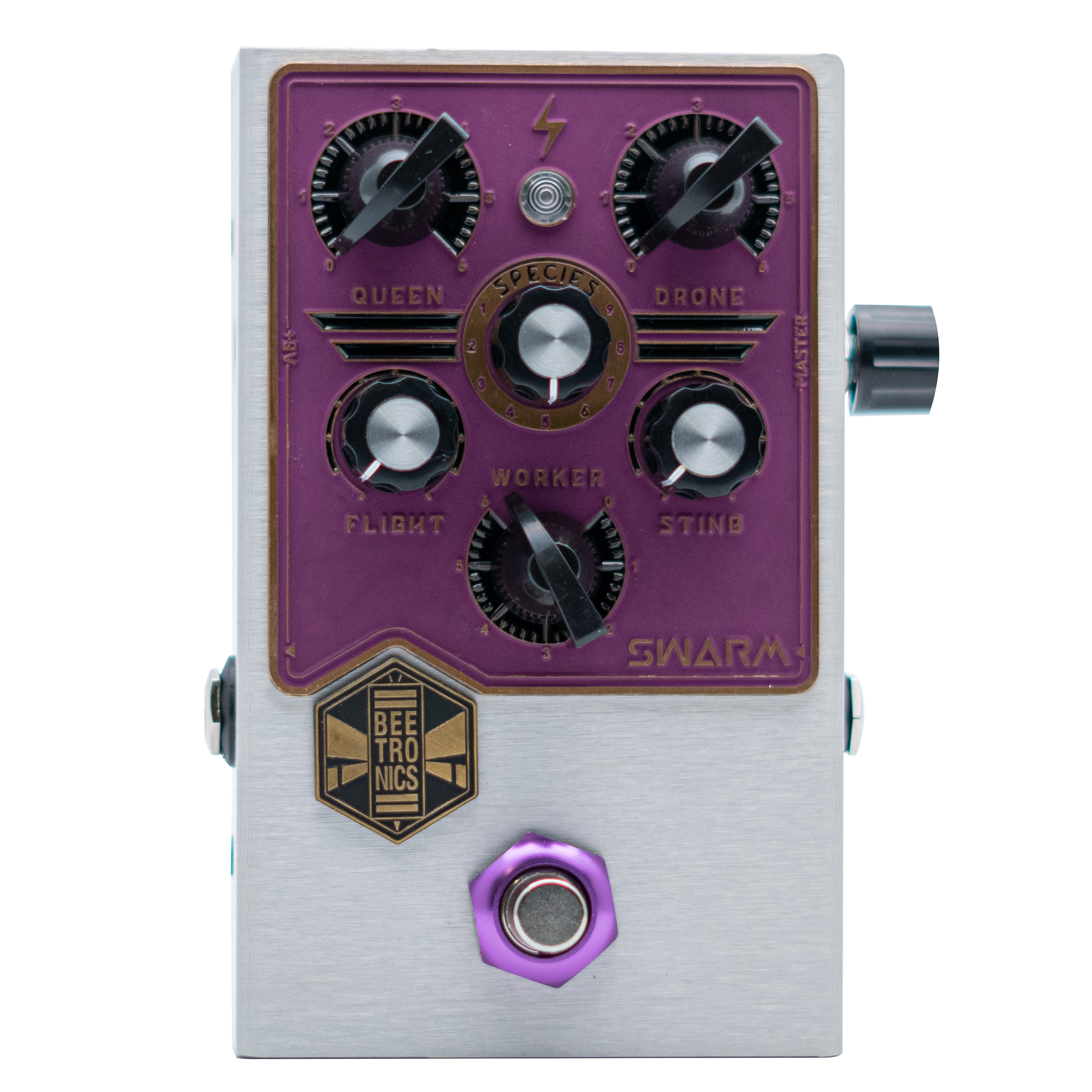 Swarm Limited Edition <p> Royal Series