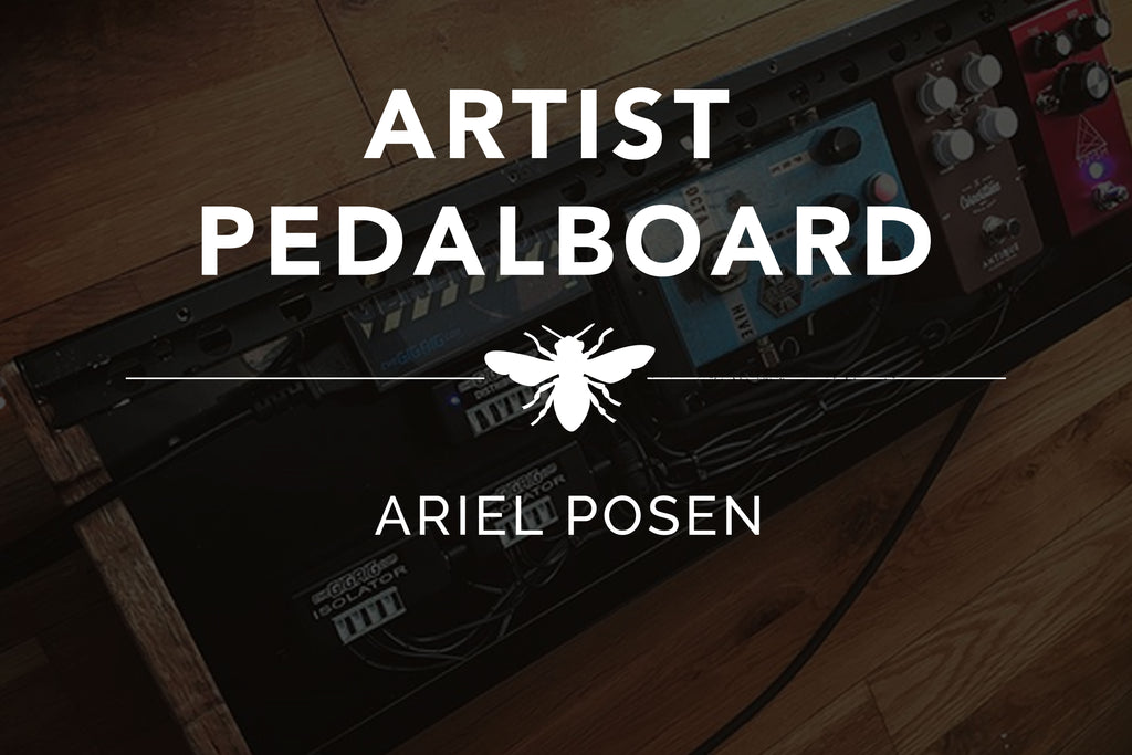 ARTIST PEDALBOARD Ariel Posen Beetronics
