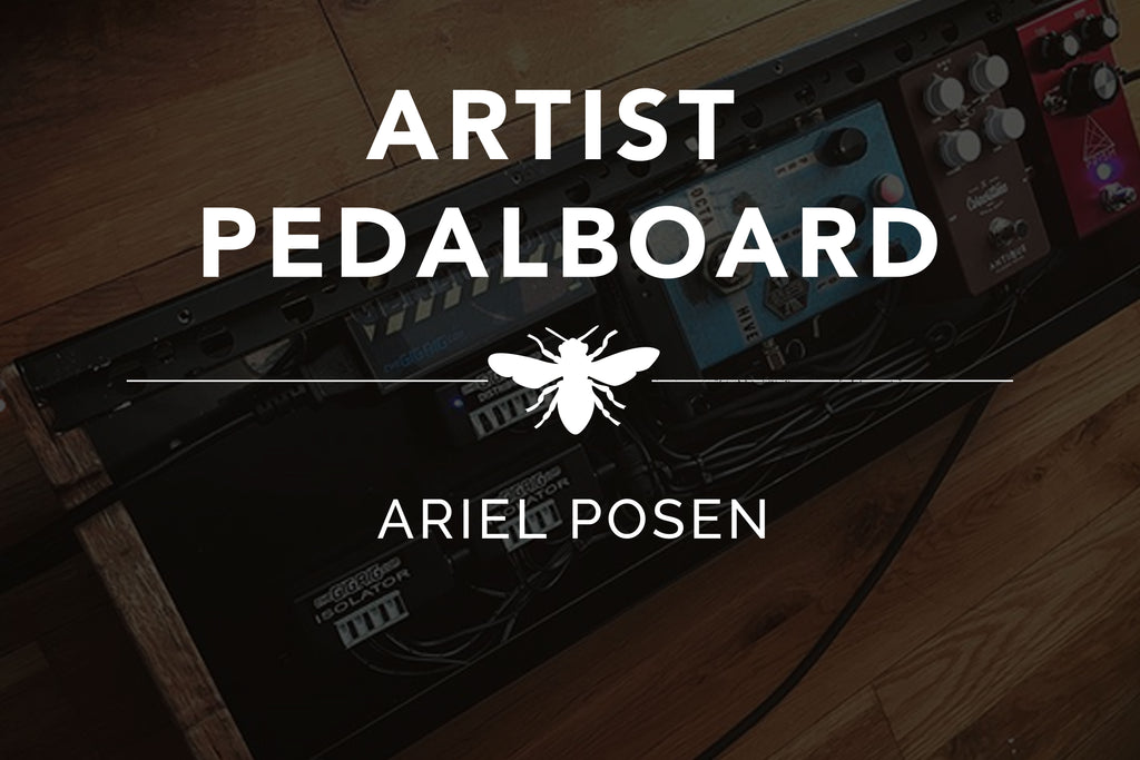 ARTIST PEDALBOARD - Ariel Posen