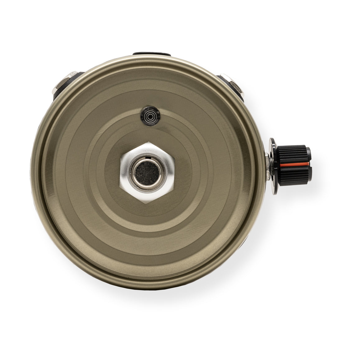 Tuna Fuzz • Gold • BEE STOCK